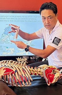 İnen ve Çıkan Kinetik Zincirin Değerlendirilmesi