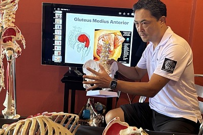 Giải phẫu chức năng và Y học thể thao