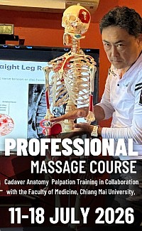 Kh&oacute;a học massage chuy&ecirc;n nghiệp về y học thể thao với giải phẫu x&aacute;c người.