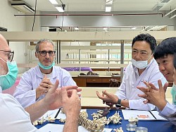 來自世界各地的專業按摩治療師