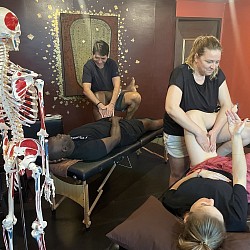 骨盆與髖部評估及深層手技實作